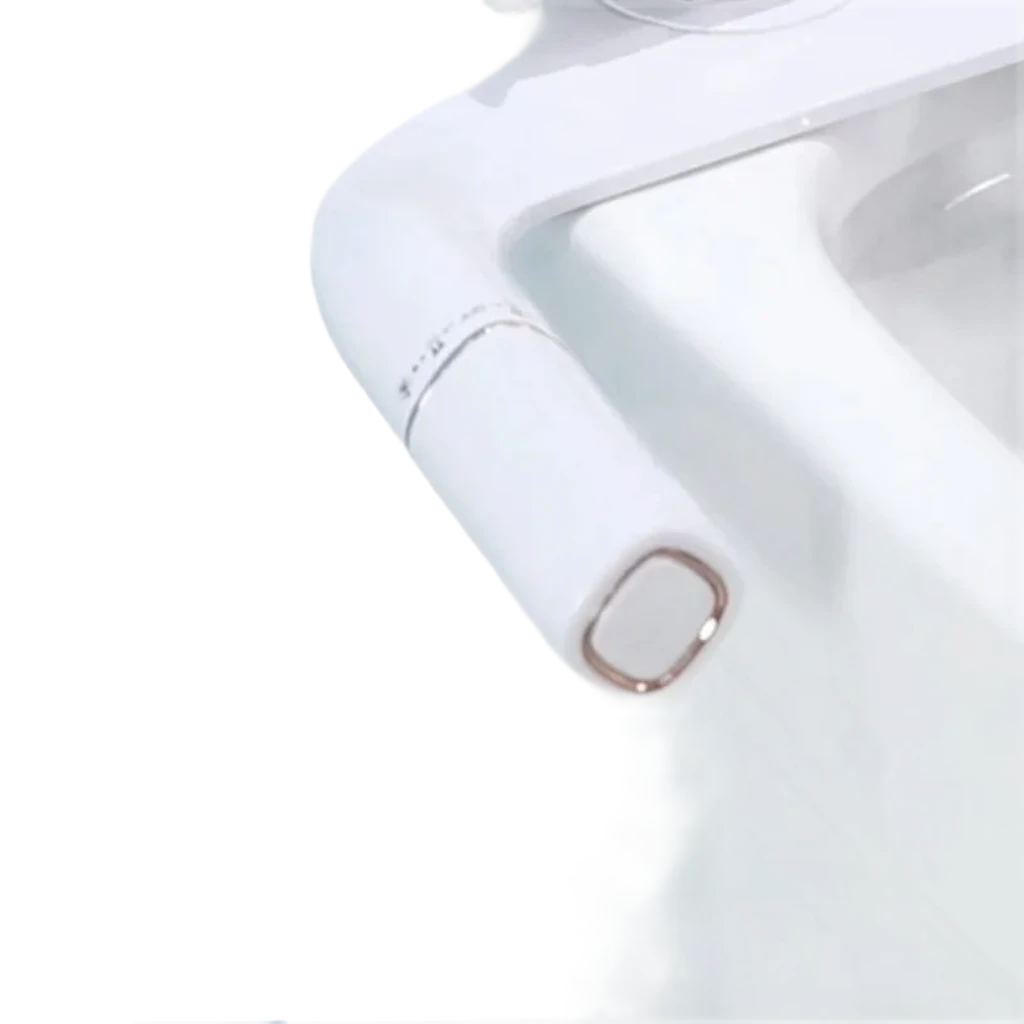 electric bidet toilet